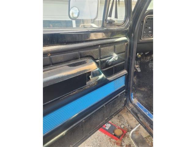 1979 Ford F150 (CC-2058668) for sale in Cadillac, Michigan
