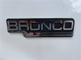 1993 Ford Bronco (CC-2058922) for sale in Bradenton, Florida
