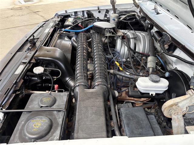1993 Ford Bronco (CC-2058922) for sale in Bradenton, Florida