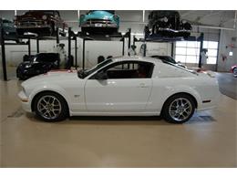 2008 Ford Mustang (CC-2059079) for sale in Downers Grove, Illinois