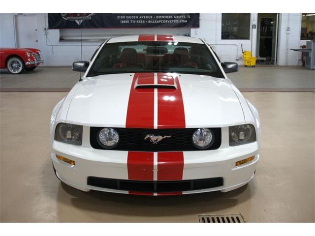 2008 Ford Mustang (CC-2059079) for sale in Downers Grove, Illinois