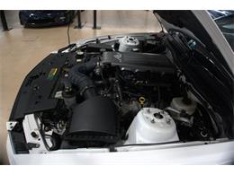 2008 Ford Mustang (CC-2059079) for sale in Downers Grove, Illinois