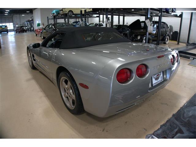2001 Chevrolet Corvette (CC-2059088) for sale in Downers Grove, Illinois