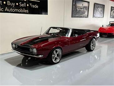 1967 Chevrolet Camaro (CC-2059447) for sale in Palm Desert , California