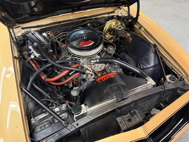 1967 Chevrolet Camaro (CC-2059607) for sale in Bradenton, Florida