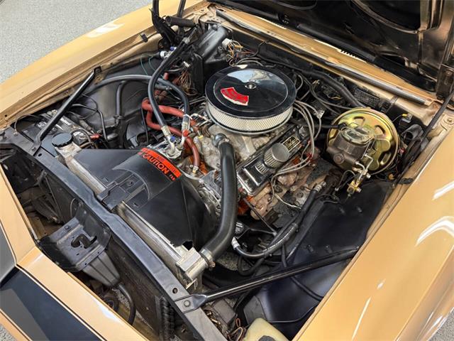 1967 Chevrolet Camaro (CC-2059607) for sale in Bradenton, Florida