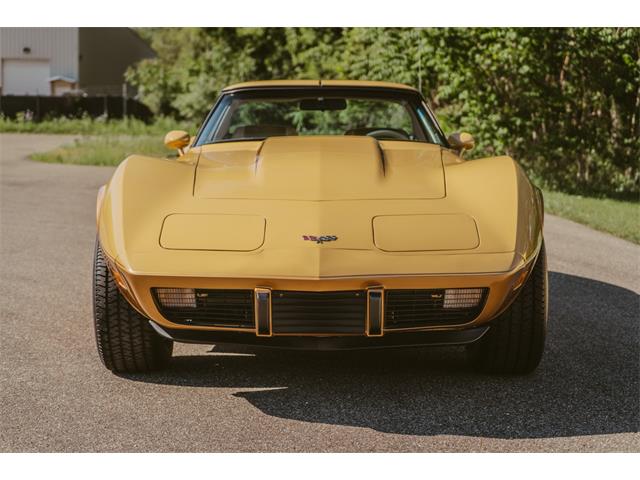 1979 Chevrolet Corvette (CC-2059679) for sale in Grand Rapids, Michigan