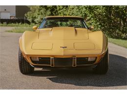 1979 Chevrolet Corvette (CC-2059679) for sale in Grand Rapids, Michigan