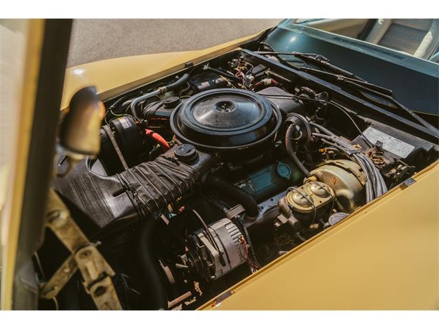1979 Chevrolet Corvette (CC-2059679) for sale in Grand Rapids, Michigan