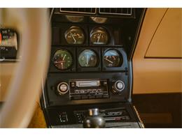 1979 Chevrolet Corvette (CC-2059679) for sale in Grand Rapids, Michigan