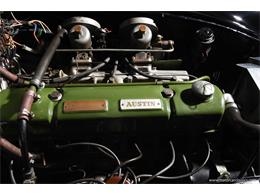 1960 Austin-Healey 3000 (CC-2059726) for sale in Farmingdale, New York