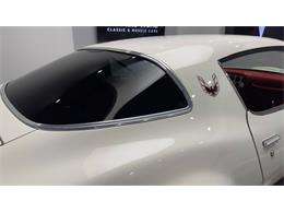1977 Pontiac Firebird Trans Am (CC-2059766) for sale in Clearwater, Florida