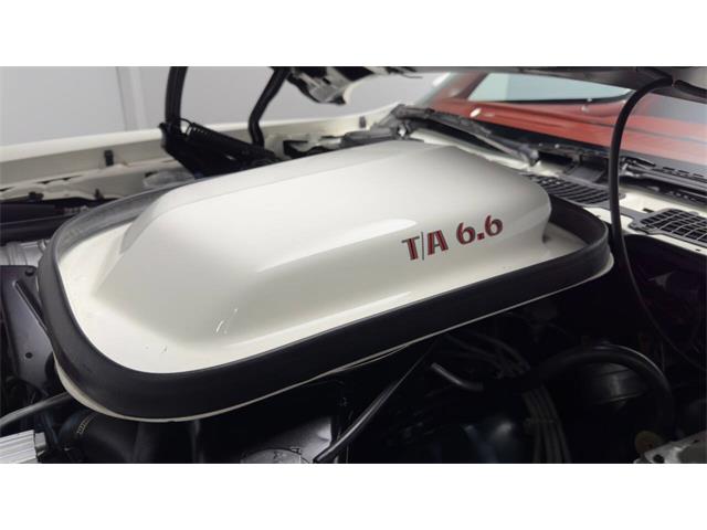 1977 Pontiac Firebird Trans Am (CC-2059766) for sale in Clearwater, Florida