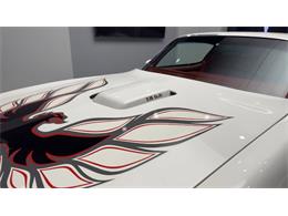 1977 Pontiac Firebird Trans Am (CC-2059766) for sale in Clearwater, Florida
