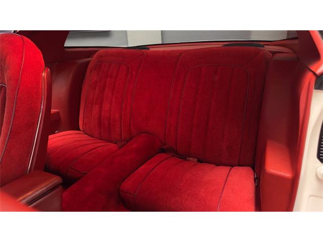 1977 Pontiac Firebird Trans Am (CC-2059766) for sale in Clearwater, Florida