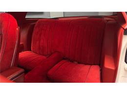 1977 Pontiac Firebird Trans Am (CC-2059766) for sale in Clearwater, Florida