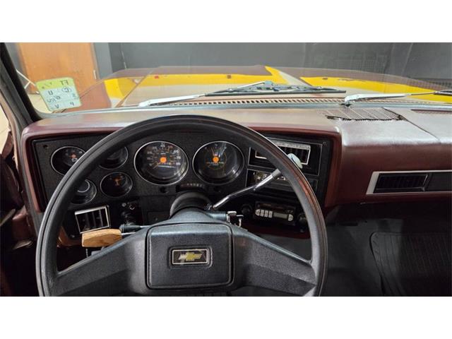 1982 Chevrolet C10 (CC-2061010) for sale in Mankato, Minnesota