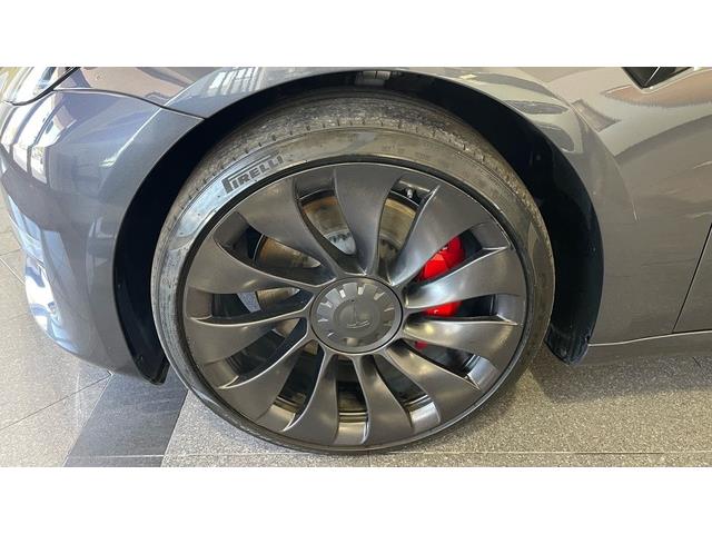 2023 Tesla Model 3 (CC-2061131) for sale in Jacksonville, Florida