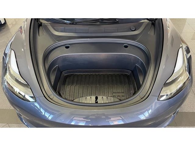 2023 Tesla Model 3 (CC-2061131) for sale in Jacksonville, Florida