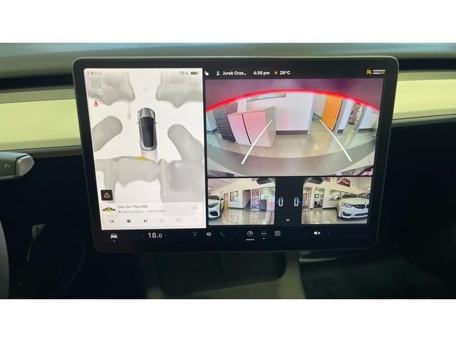 2023 Tesla Model 3 (CC-2061131) for sale in Jacksonville, Florida