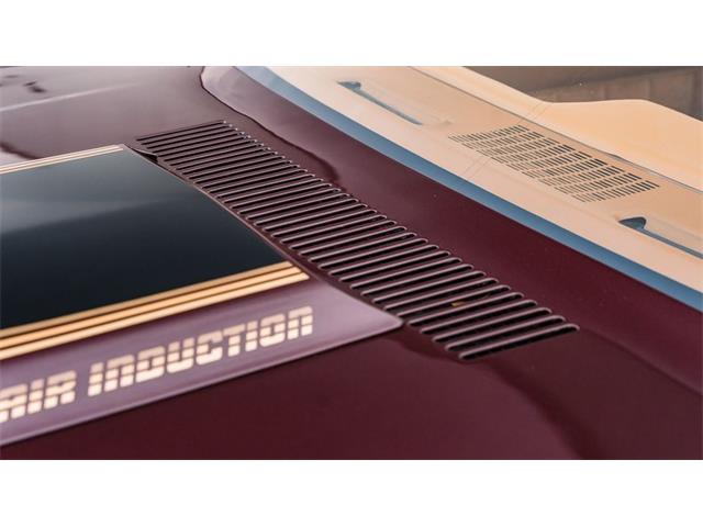 1980 Chevrolet Camaro Z28 (CC-2061211) for sale in Elkhart, Indiana