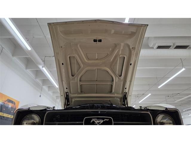 1971 Ford Mustang (CC-2061411) for sale in Mankato, Minnesota