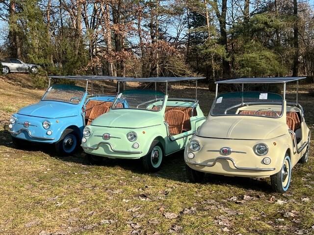 1967 Fiat Jolly (CC-2061539) for sale in Jacksonville, Florida