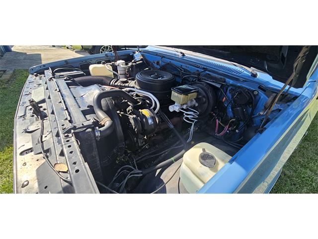 1985 Chevrolet Silverado (CC-2061663) for sale in PALM BAY, Florida
