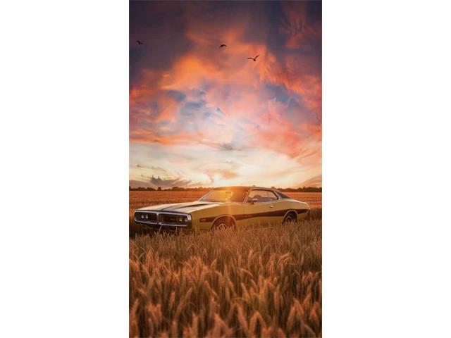 1973 Dodge Charger (CC-2061901) for sale in Midlothian, Texas