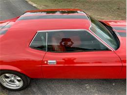 1972 Ford Mustang (CC-2062172) for sale in Fredericksburg, Texas