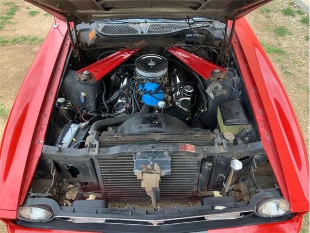 1972 Ford Mustang (CC-2062172) for sale in Fredericksburg, Texas
