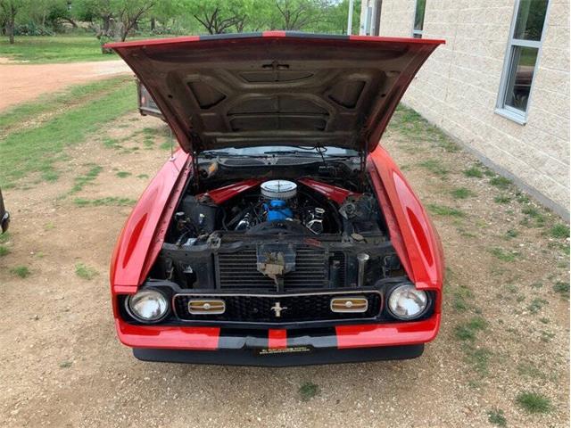 1972 Ford Mustang (CC-2062172) for sale in Fredericksburg, Texas