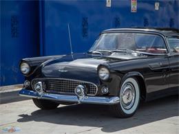 1956 Ford Thunderbird (CC-2062191) for sale in Torrance, California
