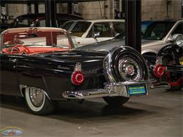 1956 Ford Thunderbird (CC-2062191) for sale in Torrance, California