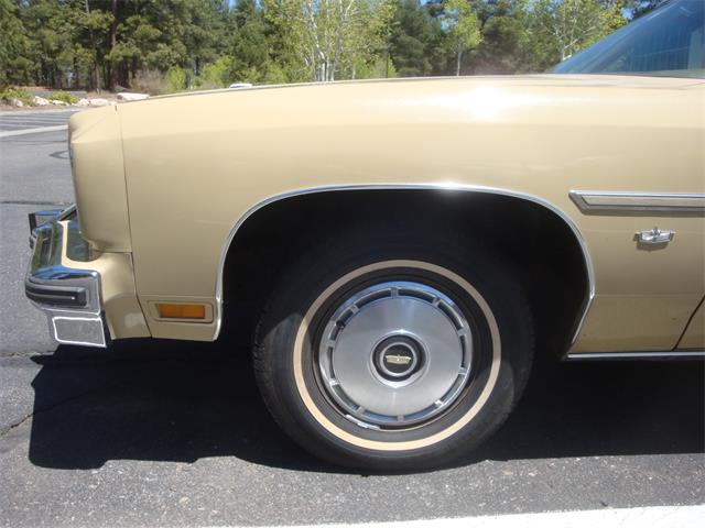 1975 Chevrolet Caprice (CC-2060242) for sale in Flagstaff, Arizona