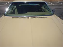 1975 Chevrolet Caprice (CC-2060242) for sale in Flagstaff, Arizona