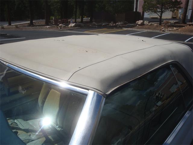 1979 Lincoln Continental Mark V (CC-2062697) for sale in Flagstaff, Arizona