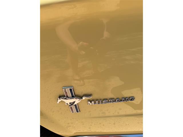 1965 Ford Mustang (CC-2062706) for sale in Fountain Hills , Arizona