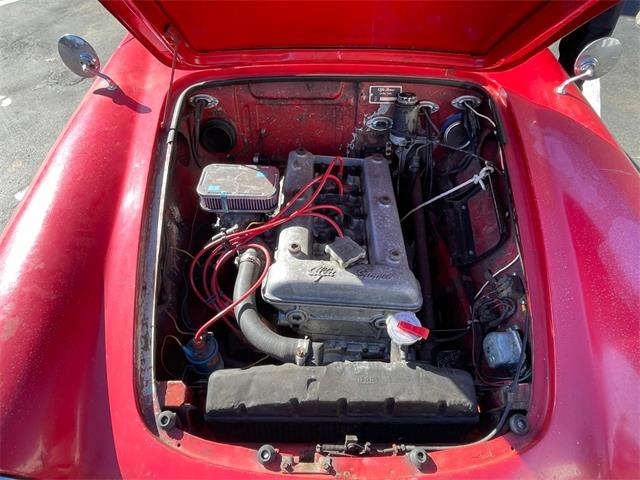 1964 Alfa Romeo 1600 (CC-2060028) for sale in Astoria, New York