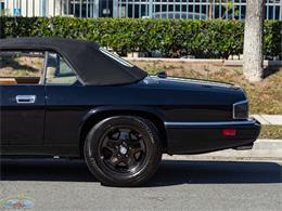 1995 Jaguar Convertible (CC-2062942) for sale in Torrance, California