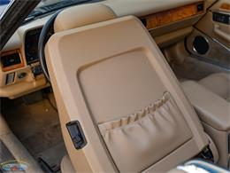 1995 Jaguar Convertible (CC-2062942) for sale in Torrance, California