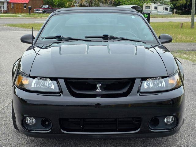1999 Ford Mustang SVT Cobra (CC-2062950) for sale in Hope Mills, North Carolina