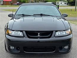 1999 Ford Mustang SVT Cobra (CC-2062950) for sale in Hope Mills, North Carolina