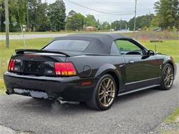 1999 Ford Mustang SVT Cobra (CC-2062950) for sale in Hope Mills, North Carolina