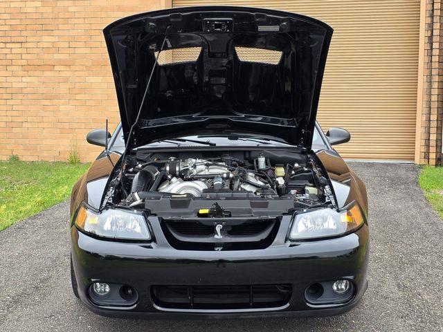 1999 Ford Mustang SVT Cobra (CC-2062950) for sale in Hope Mills, North Carolina
