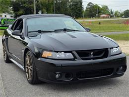1999 Ford Mustang SVT Cobra (CC-2062950) for sale in Hope Mills, North Carolina