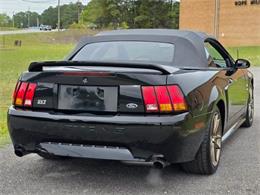1999 Ford Mustang SVT Cobra (CC-2062950) for sale in Hope Mills, North Carolina