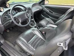1999 Ford Mustang SVT Cobra (CC-2062950) for sale in Hope Mills, North Carolina