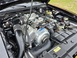 1999 Ford Mustang SVT Cobra (CC-2062950) for sale in Hope Mills, North Carolina