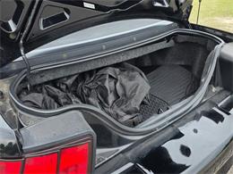 1999 Ford Mustang SVT Cobra (CC-2062950) for sale in Hope Mills, North Carolina